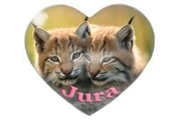 Magnet cœur souvenir Jura représentant deux jeunes lynx