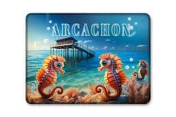 Magnet rectangle souvenir Arcachon avec hippocampes et cabane tchanquée