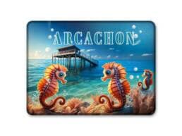Magnet rectangle souvenir Arcachon avec hippocampes et cabane tchanquée