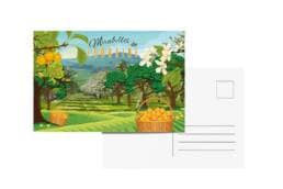 Carte postale souvenir Mirabelles Lorraine avec vergers de mirabelles