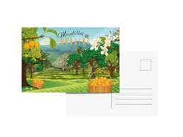 Carte postale souvenir Mirabelles Lorraine avec vergers de mirabelles