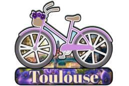 Magnet vélo souvenir Toulouse avec violettes et Pont Saint-Pierre