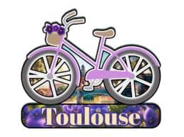 Magnet vélo souvenir Toulouse avec violettes et Pont Saint-Pierre